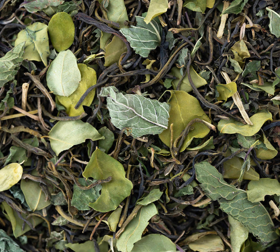 Forest Mint