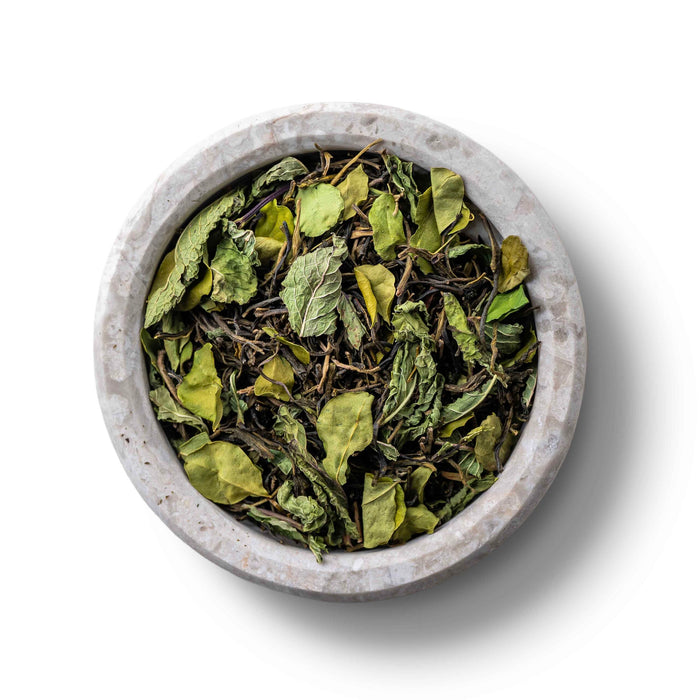 Forest Mint